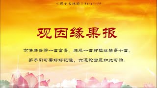 【佛子天地游记】30-07-19【观因缘果报】念佛为善得一世富贵。为恶一世却堕落猪身十世。弟子们可要好好记住，六道轮回是如此可怕 | 观世音菩萨心灵法门