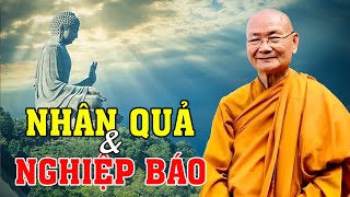 Hiểu Đúng Về Nhân Quả Và Nghiệp Báo. AI CŨNG NÊN XEM QUA | Thầy Viên Minh Giảng | Pháp Thoại Vấn Đáp