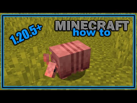 What do armadillos eat in Minecraft?