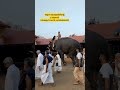 പൂർണത്രയീശനെ നെറുകിലേറ്റി ... elephant aana aanakambam youtubeshorts aanapremii aanapremikal