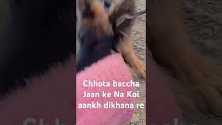 Chhota baccha Jaan ke Na Koi aankh dikhana re #love #shagun #doglover #ytshorts #shorts