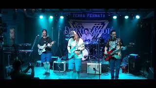 More Better Band @ Terra Fermata Tiki Bar 12/8/24 (Full Set)