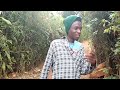 pazzo comedy ubujura bwakorewe ma bara nyaxo 0785074776