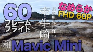 Mavic Mini FHD 60フレーム撮影 長崎県佐世保市牽牛崎より九十九島