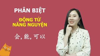 PHÂN BIỆT 3 ĐỘNG TỪ NĂNG NGUYỆN 会, 能, 可以 | NGỮ PHÁP TIẾNG TRUNG