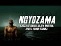 Kabza De Small, Dlala Thukzin - Ngyozama ft. Sykes, Young Stunna (Lyric Visualizer)