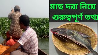 মাছ ধরা নিয়ে গুরুত্বপূর্ণ তথ্য