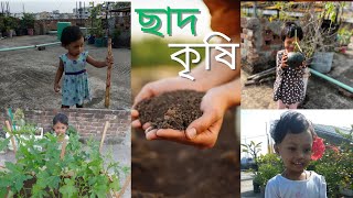 আমার ছাদ বাগান || Rooftop Farming || ছাদ কৃষি || How Rooftop Gardening Can Save Our Cities