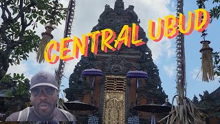 Central Ubud Adventure: Monkeys, Palaces, and Scenic Walks