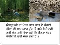 ਡੈਲਟਾ ਅਤੇ ਐਸਚੁਅਰੀ ਵਿਚ ਅੰਤਰ delta u0026 estuary