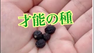 成長の種に繋がる才能【成長とは何か アスリート勉強会#59-12】