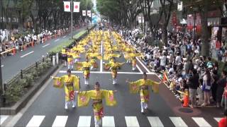 【舞華】2013　原宿スーパーよさこい　二日目（表参道）