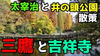 三鷹・吉祥寺散歩　太宰治と紅葉の美しい井の頭公園に浸る一日