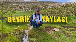 Dünyanın En Güzel Yaylası I Adıyaman Gevrik Yaylası