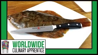 Mastering the Art of Filleting: A Step-by-Step Guide to Filleting a Sole/Flounder/Fluke