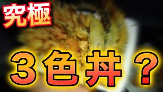 琵琶湖からとった食材のみで３色丼を作って食べる。【サバイバル遠征１０】