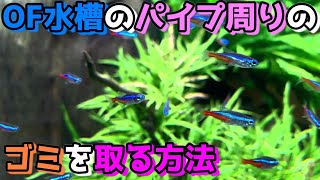 オーバーフロー水槽のパイプ周りのゴミを取る方法\u0026熱帯魚アクアリウム福袋開封【媛めだか】