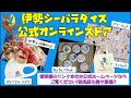 【アシカ】日向のキモチ（伊勢シーパラダイス／水族館）