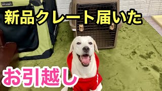 新品クレートにお引越し★IRIS エアトラベルキャリー Ｌサイズ ラブラドールレトリバー Air Travel Carry New Crate Labrador Retriever