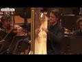 Xavier de Maistre - Concierto de Aranjuez (arranged for harp)