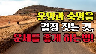 운명과 숙명을 결정 짓는 것? / 2025년 운세를 좋게 하는 법