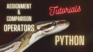 Assignment and Comparison Operators in Python | Python Tutorial