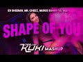 ed sheeran mr. cheez radius sunny vs. deefresh shape of you deejay kuki mashup 2024