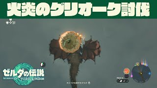 火炎グリオークの倒し方【ゼルダの伝説 ティアーズオブザキングダム】