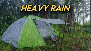 NOT SOLO CAMPING • RELAXING CAMPING IN HEAVY RAIN • SLEEPING WITH SOUND OF RAIN • ASMR