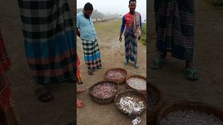 নদীর তাজা মাছ#fish#লাল চেউয়া মাছ#shortvideo#চাপলি মাছ#viralvideo