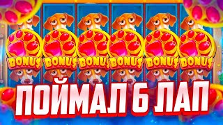 СЛОВИЛ 5 ЛАП И ЗАНОС НА 1 600 000Р! САМАЯ ЗАНОСНАЯ СЕССИЯ В THE DOG HOUSE MEGAWAYS