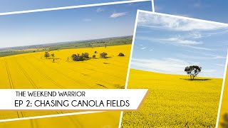 Canola fields madness!!! #Harden, NSW | Things to do in Australia | #Australia travel guide