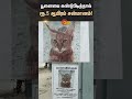 missing cat reward for lost cat thoothukudi sun news