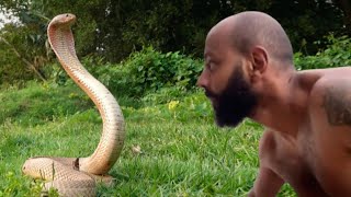 The snake takes hard courage by Aziz |እባብ በድፍረት የሚይዘው ኢትዮጵያዊ| Ethiopian wildlife