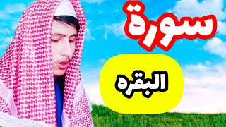 Surah Al-Baqarah || by Sheikh Sayed Navid Hashemi(HD)With Arabic |سورة البقره