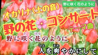 【野に咲く花のように】野の花コンサートテーマ曲(オカリナcover )