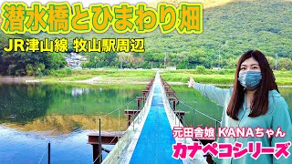 【岡山市北区の秘境エリア】増水時消えてしまう潜水橋(別名：地獄橋)などなど《カナペコ》