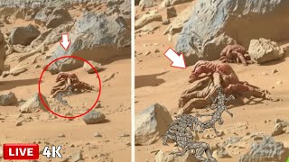 UNSEEN MARS! Rover Sends One Terrifying Image That Left NASA Speechless 4K (2025)
