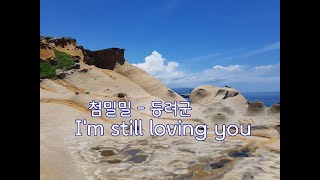 첨밀밀 - 등려군 (甜蜜蜜 鄧麗君 I'm still loving you 배경 : 대만)