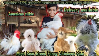 Most Rear Breed Fancy Chicken Sale In kolkata ll All india delivery available ll Silkie Chicken Sale