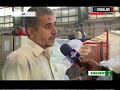 irib report amelon company گزارش واحد مرکزی خبر از شرکت کیمیا سامانه سبز