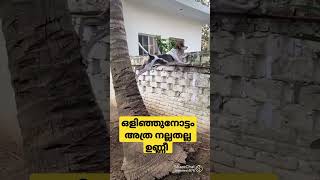 ആപ്പുറത്ത് വീട്ടിൽ ഒരു ബഹളം കേട്ടാൽപിന്നെ നമ്മള് ഇടപെടണ്ടേ