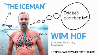 LEDOVÝ MUŽ WIM HOF/metoda otužování a správného dýchání/ CO TĚ NEZABIJE/Animated Book Summary/CZ