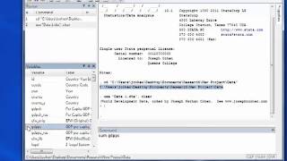 The Stata Window