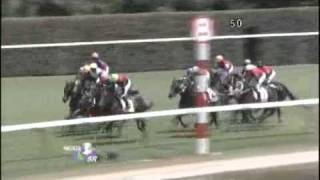 2011年【新潟第5R】サラ系2歳新馬【芝1600m】ジャスタウェイ