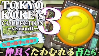 #21 【苔Collection】仲良くたわむれる苔たち！！