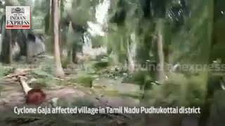 Cyclone Gaja affected village in Tamil Nadu's Pudhukottai district