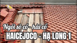 Ngói hài cổ Haicejoco Hạ Long 1 | Ngói sò lợp đình chùa Haicejoco | Ngói sò cổ Haicejoco Hạ Long 1