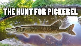 Fishing for my First Ever Chain Pickerel