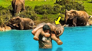 Man Saves Drowning Baby Elephant. What the Herd Does Next Will SHOCK You!